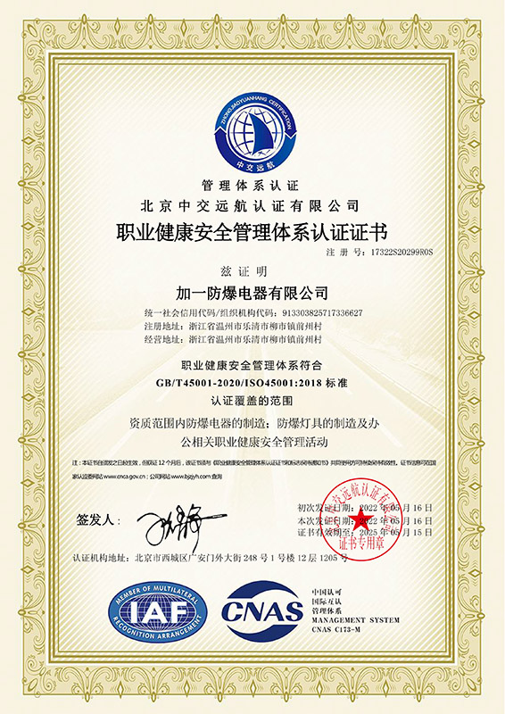 职业安全证书中文45001